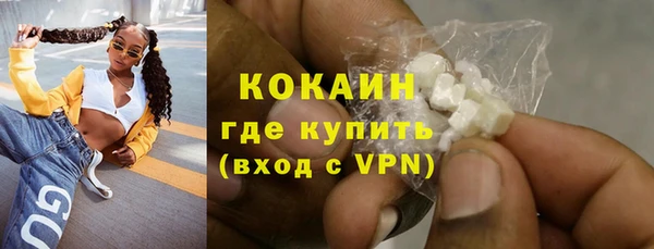 прущий лед Алзамай