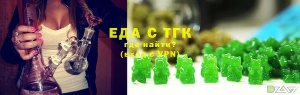 прущий лед Алзамай