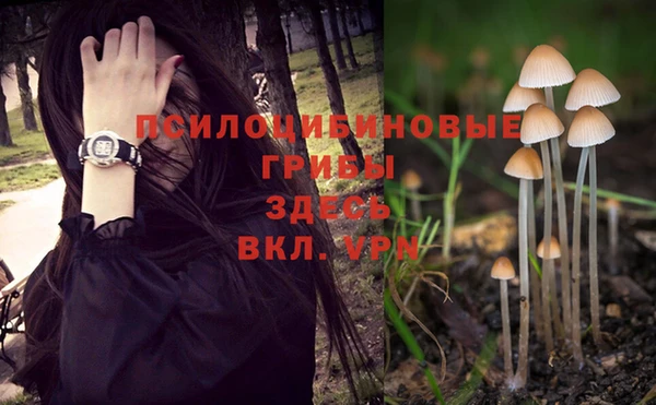 спайс Алексин