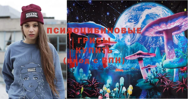 спайс Алексин