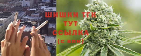 прущий лед Алзамай