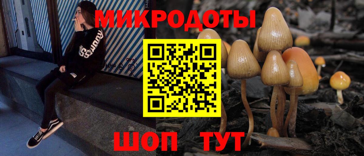 Галлюциногенные грибы Magic Shrooms Амурск